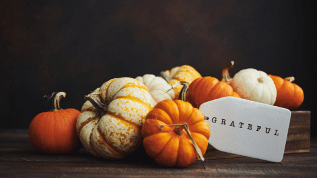 Pumpkins sitting on table surface with Grateful tag attached